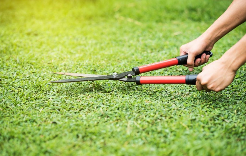 Gardener cutting the grass