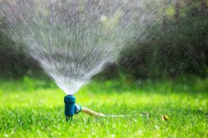 Sprinkler watering the grass