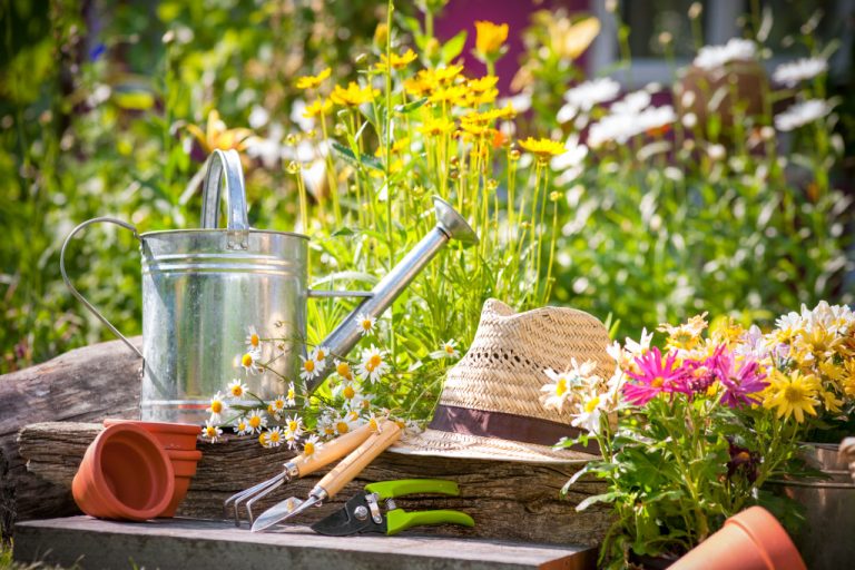 bunch of gardening tools in a wooden table with flowers on pots